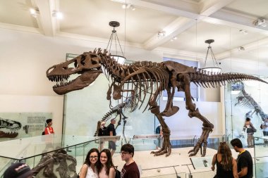 NEW YORK CITY, ABD - 29 Mart 2020: New York City, ABD 'deki American Museum of Natural History' deki dinozor