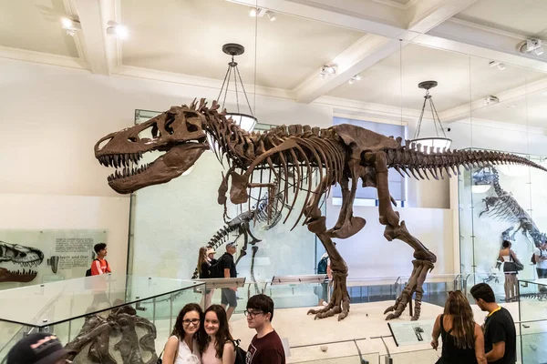 New York City Usa Marca 2020 Dinozaur Amerykańskim Muzeum Historii — Zdjęcie stockowe