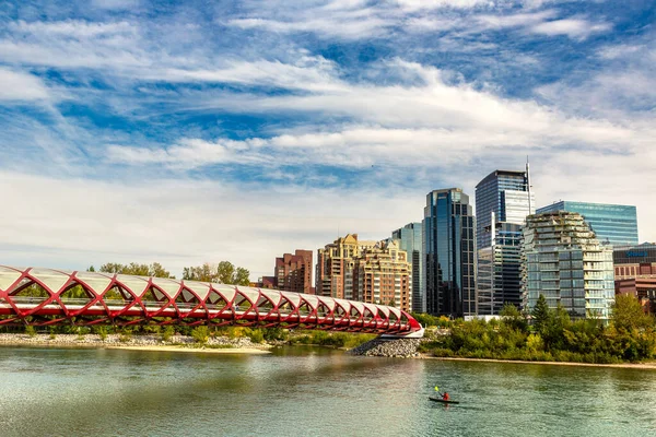 Calgary Canada Απριλιου 2020 Γέφυρα Ειρήνης Κατά Μήκος Του Ποταμού — Φωτογραφία Αρχείου