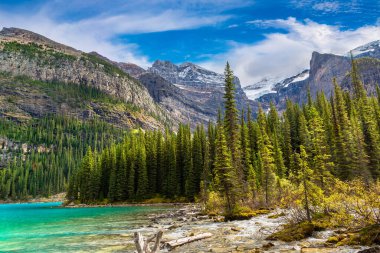 Moraine Gölü, Kanada Banff Ulusal Parkı