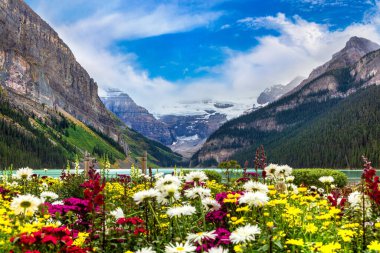 Louise Gölü ve çiçeklerin panoramik manzarası, Kanada Banff Ulusal Parkı