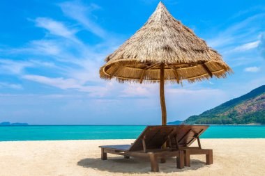 Güneşli bir günde, tropikal bir sahilde güneşli bir yatak ve palmiye ağacı.