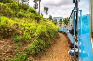 Nuwara 'da tren Eliya, Sri Lanka' da yaz günü
