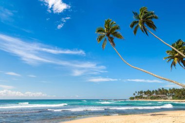 Sri Lanka 'da güneşli bir günde Dalawella Plajı