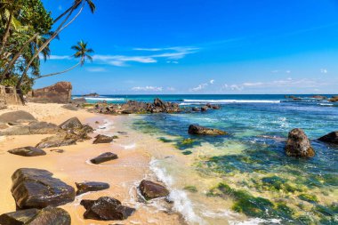 Sri Lanka 'da güneşli bir günde Dalawella Sahili' nde kayalar ve palmiye ağaçları