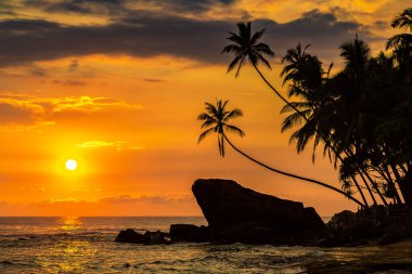 Sri Lanka 'daki Dalawella plajında gün batımı