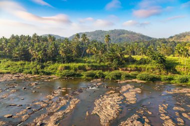Sri Lanka 'nın merkezinde orman ve nehir