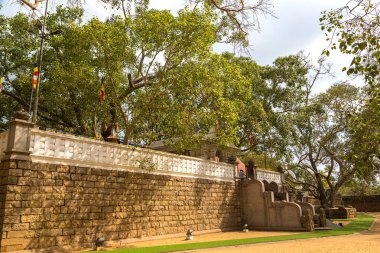 Anuradhapura 'daki Jaya Sri Maha Bodhi Tapınağı Sri Lanka Arkeoloji Müzesi