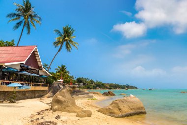 Samui Adası, Tayland 'daki güzel tropikal plaj