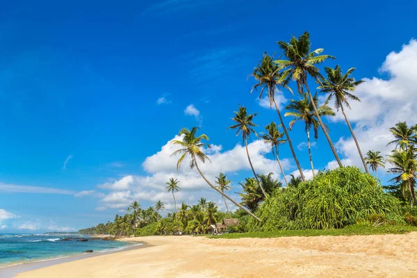 Praia Dia Ensolarado Sri Lanka — Fotografia de Stock