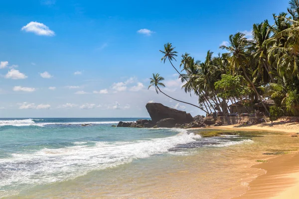 Árvore Rochas Palmeiras Dalawella Beach Dia Ensolarado Sri Lanka — Fotografia de Stock