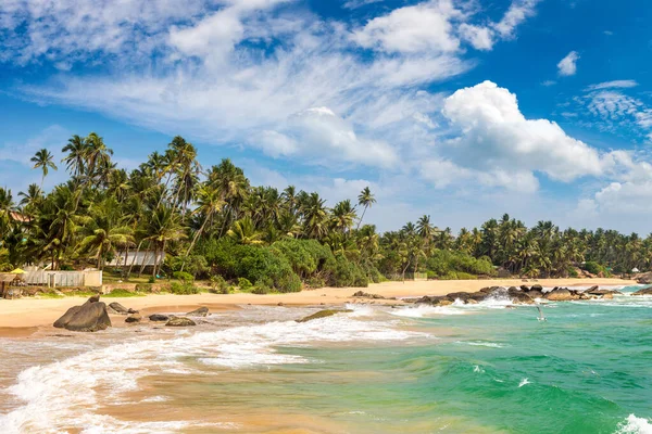 Sri Lanka Güneşli Bir Günde Dalawella Plajı — Stok fotoğraf