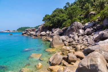 Güzel Ao Hin Wong Sahili Koh Tao Adası, Tayland
