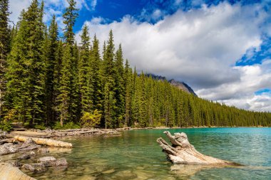 Güneşli bir günde dağ gölü manzarası