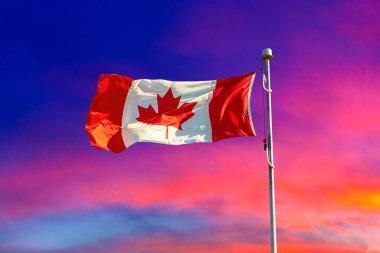 Kanada bayrağı güneşli bir günde mavi gökyüzüne karşı dalgalanıyor, Kanada
