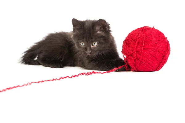 Kitten with red ball — Stock Photo, Image