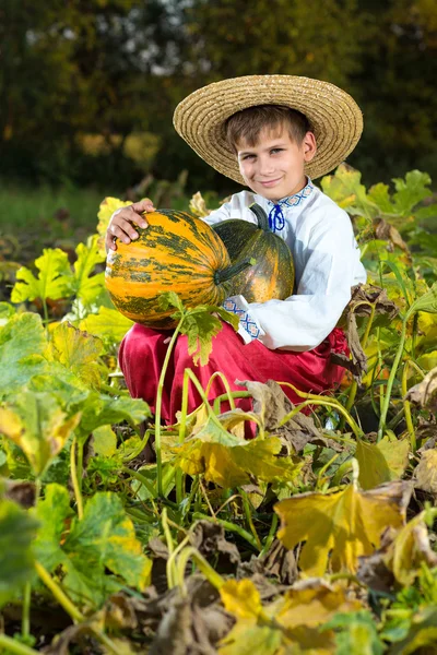 Menino segurando abóbora — Fotografia de Stock