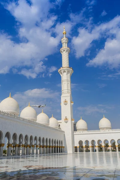 Mezquita blanca Sheikh Zayed —  Fotos de Stock