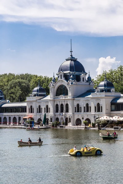 Stadspark (Varosliget) — Stockfoto