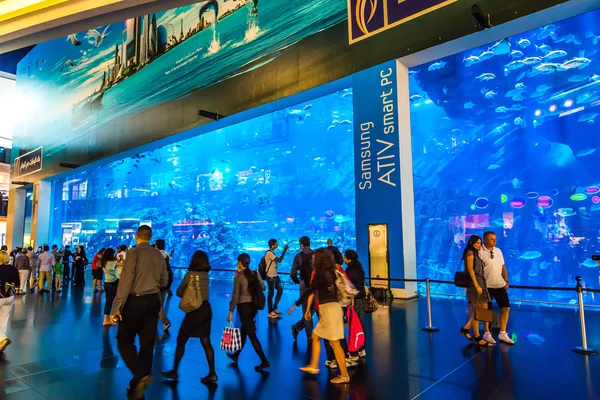 Největší akvárium na světě — Stock fotografie