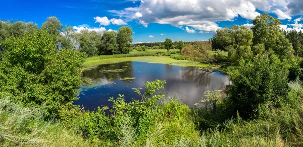 Літній ранок озеро — стокове фото