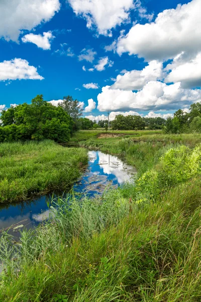 Paesaggio con fiume — Foto Stock