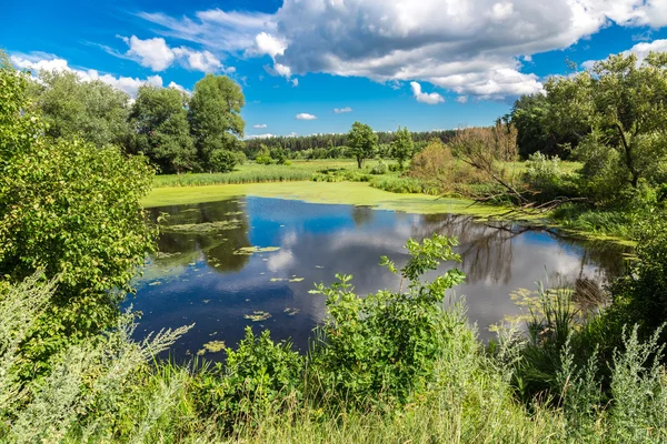 Letní ráno jezero — Stock fotografie