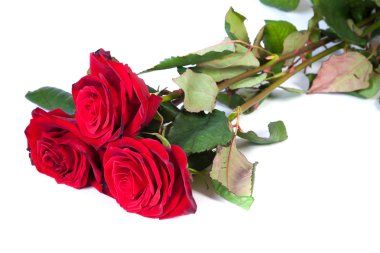 Üç kırmızı gül.