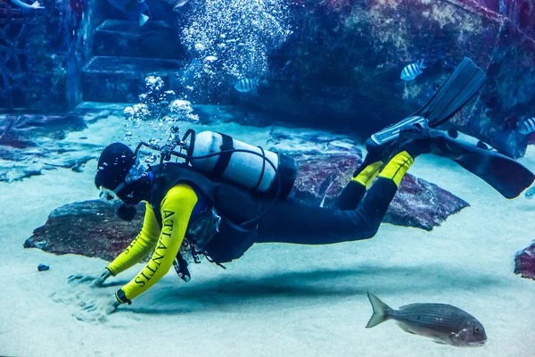 Riesiges Aquarium in Dubai. — Stockfoto