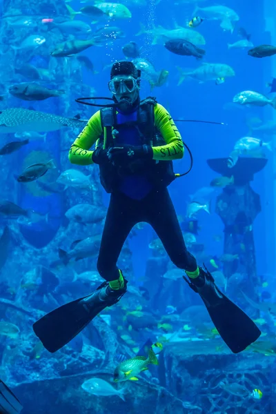 Huge aquarium in Dubai.