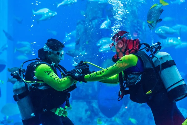 Acquario enorme a Dubai . — Foto Stock