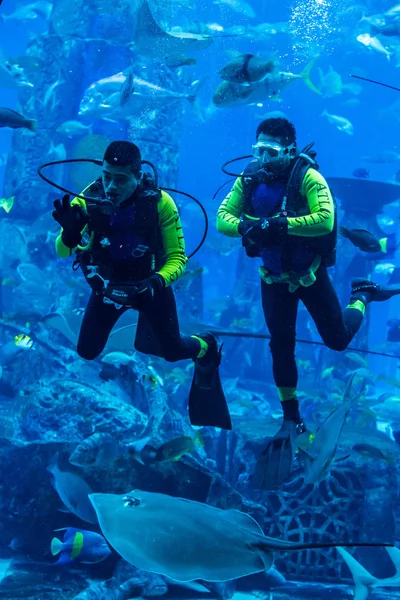 Acquario enorme a Dubai . — Foto Stock