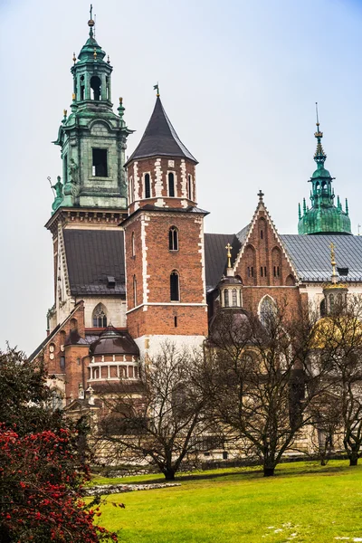 Wawel complesso cattedrale — Foto Stock