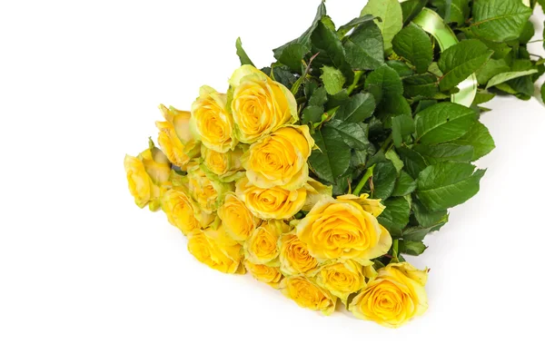 Yellow roses — Stock Photo, Image