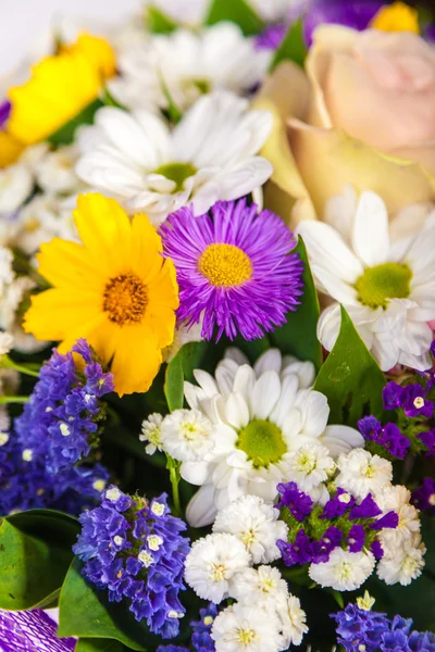 Våren blommor bakgrund — Stockfoto