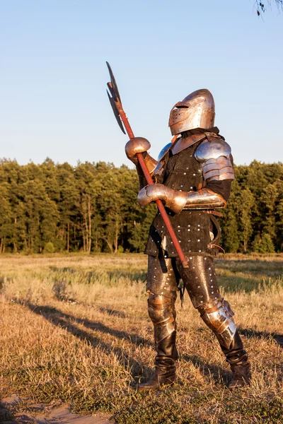 Medieval knight Royalty Free Stock Images