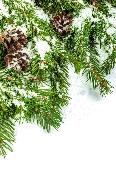 Sfondo di Natale — Foto Stock