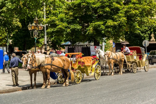 Lviv centro storico — Foto Stock