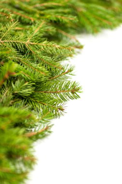 Noel arkaplanı. Eve çerçevesi