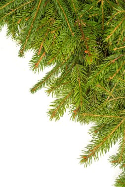 Noel arkaplanı. Eve çerçevesi