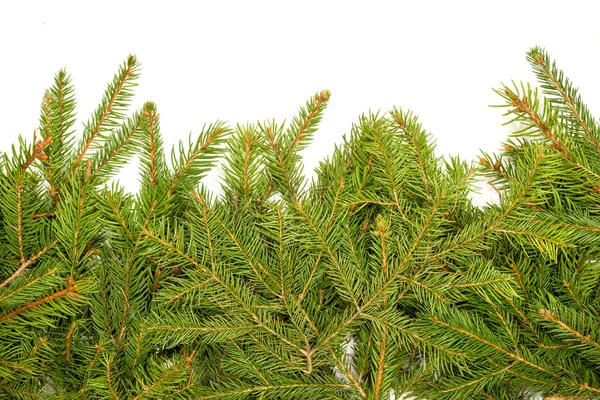 Julbakgrund. Eva-ramen — Stockfoto