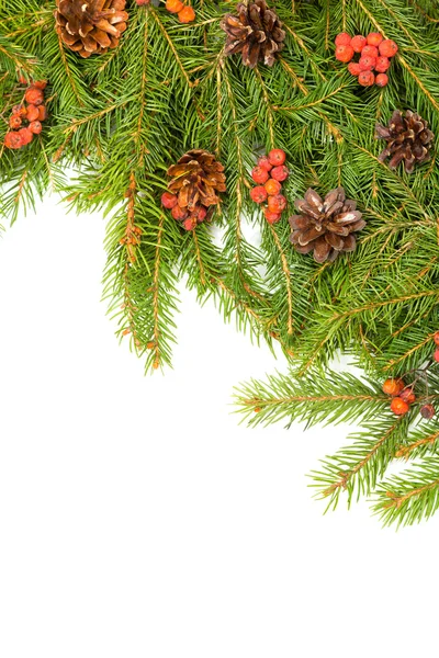 Christmas background — Stock Photo, Image