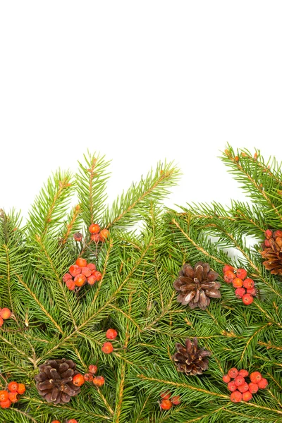 Fundo de Natal — Fotografia de Stock