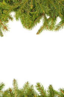 Çam dalları kenarlık