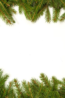 Çam dalları kenarlık