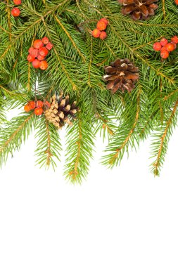 Çamın dalları ile Noel çerçeve