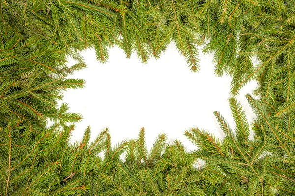 Pine branches border — Stock Photo, Image