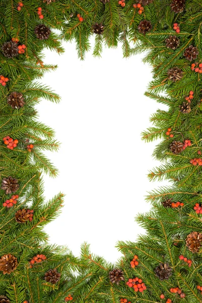 Kerstmis frame met pijnboomtakken — Stockfoto