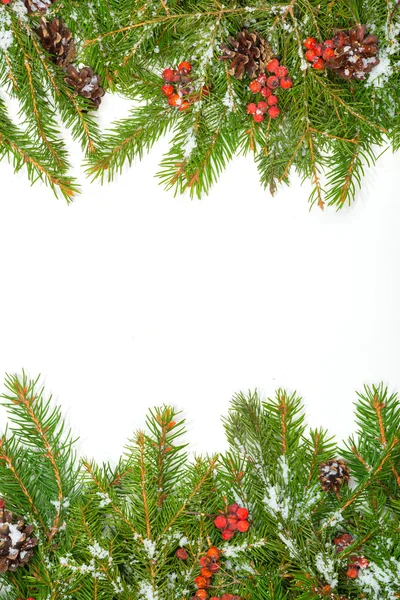 Christmas frame with pine branches — Stock Photo, Image