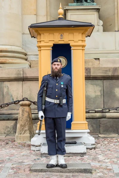 Huvudsakliga vakt på Palace — Stockfoto